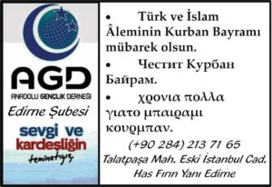 anadolu gençlik derneği
