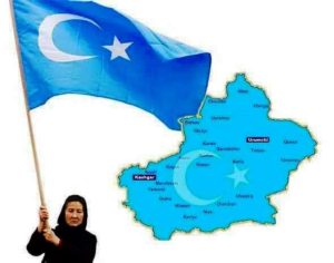 DOĞU TÜRKİSTAN