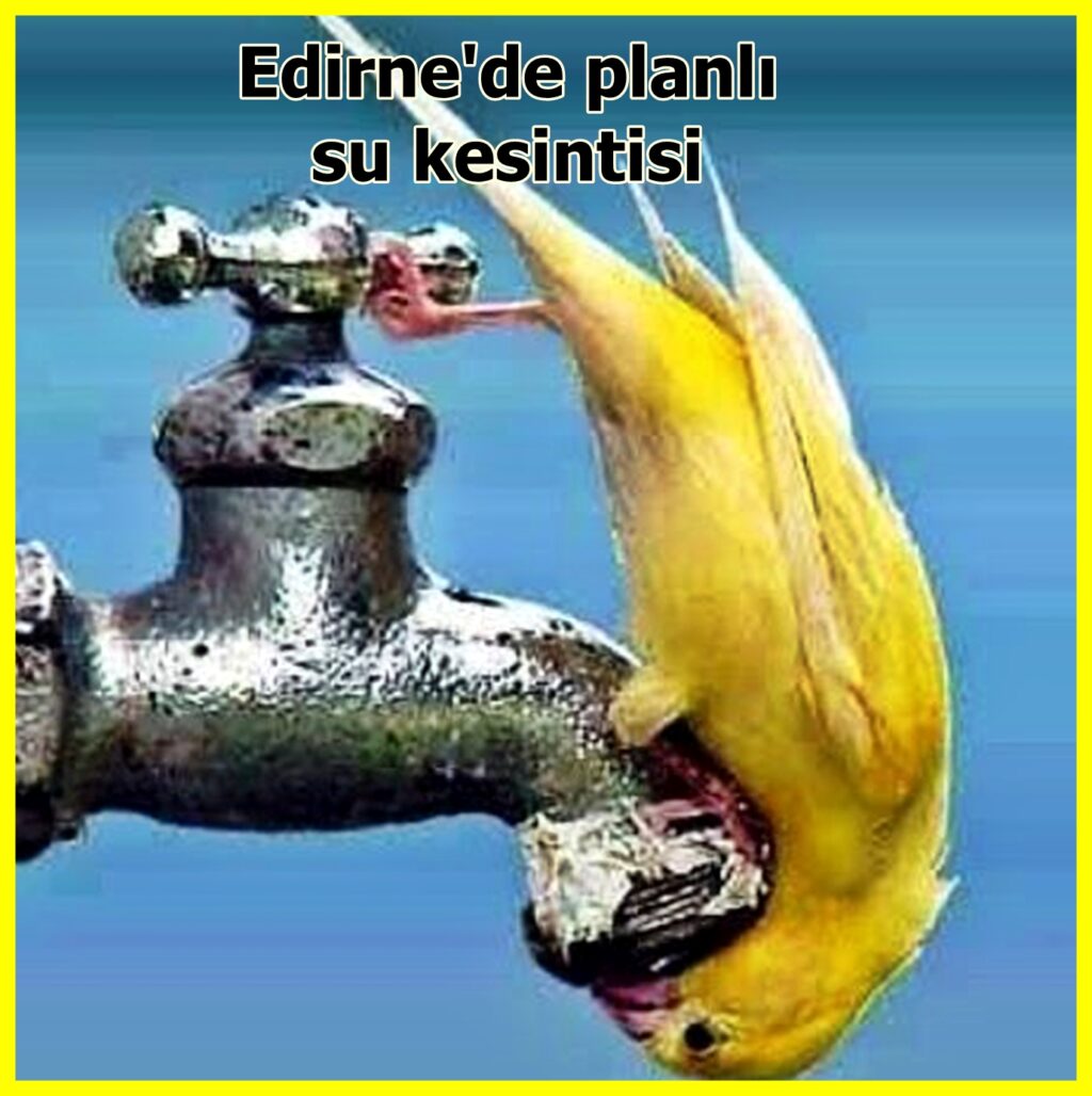 edirne su