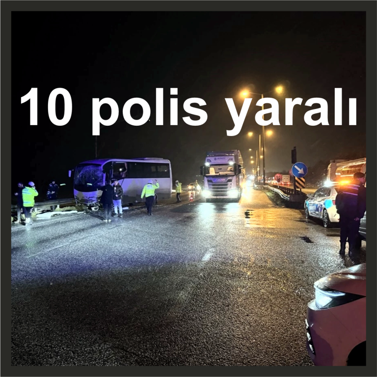 10 polis