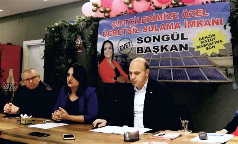 Songül