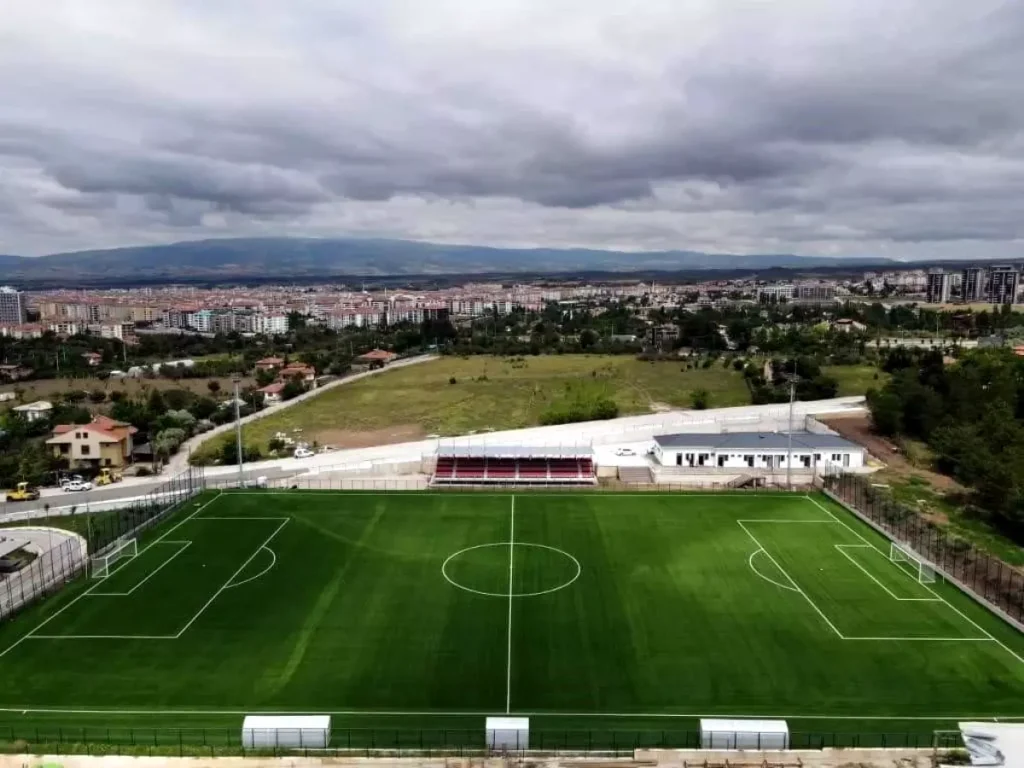 karaağaç.jpg