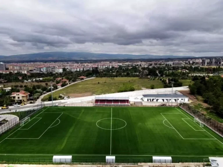 karaağaç.jpg